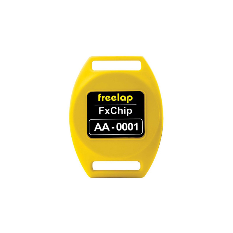 FX Chip